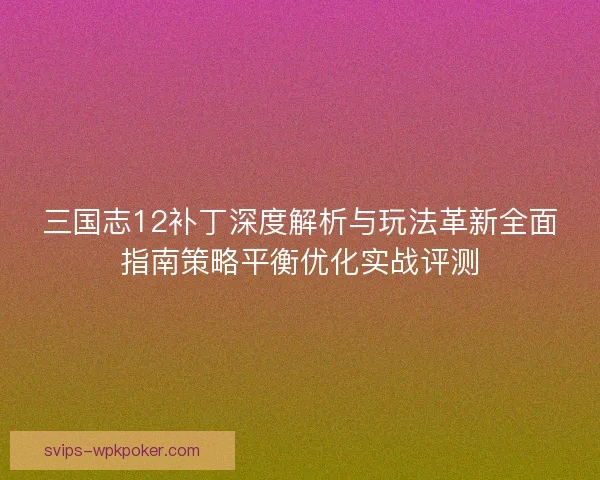 三国志12补丁深度解析与玩法革新全面指南策略平衡优化实战评测